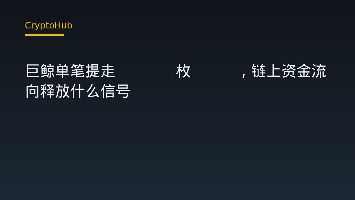 巨鲸单笔提走2640枚ZEC，链上资金流向释放什么信号