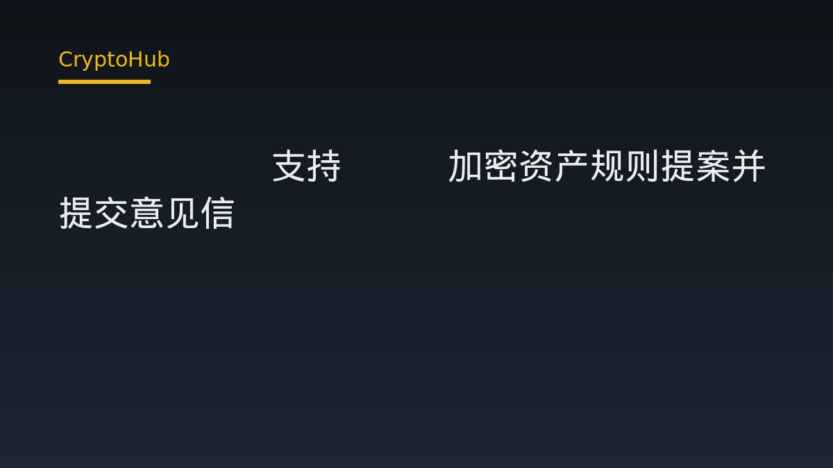 Ripple支持SEC加密资产规则提案并提交意见信